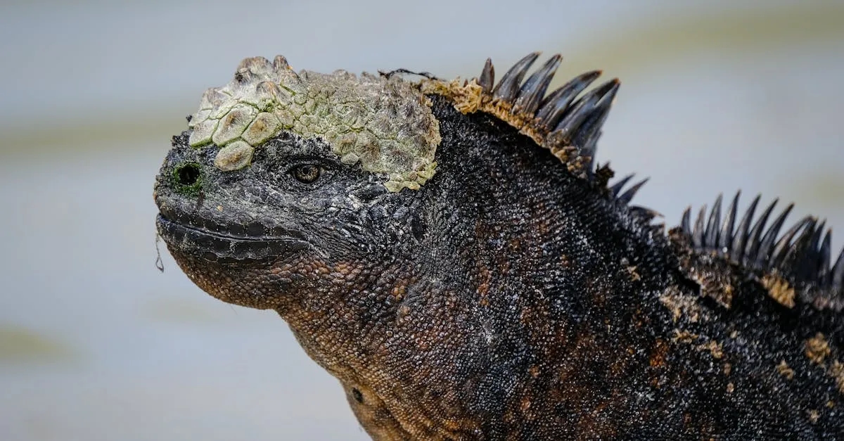 Jak filmy o zwierzętach zmieniają nasze relacje z nimi?